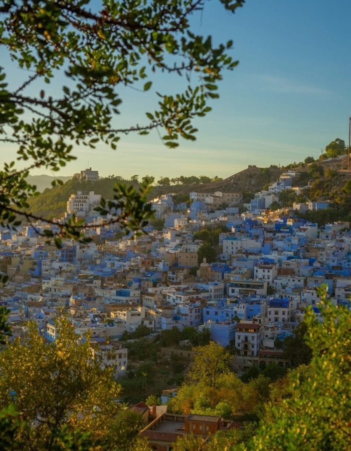 A view of a city from a hill