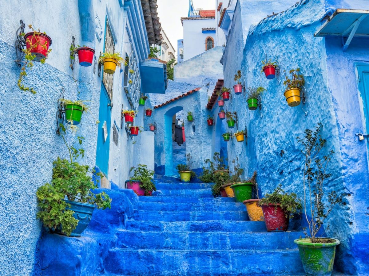 a narrow street with blue steps and potted plants,9 days tour from casablanca