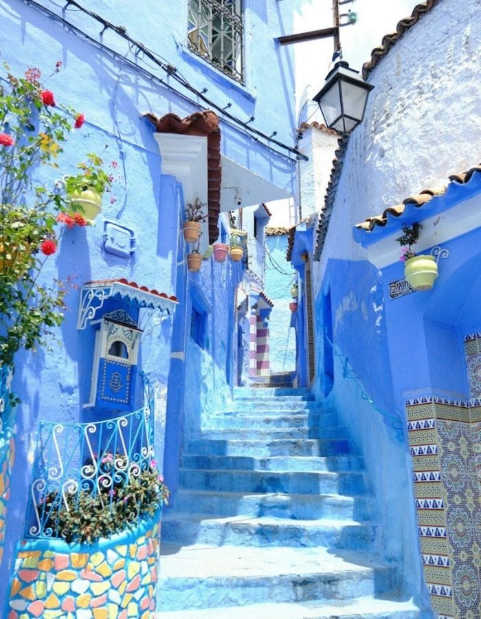 a set of steps leading up to a blue building