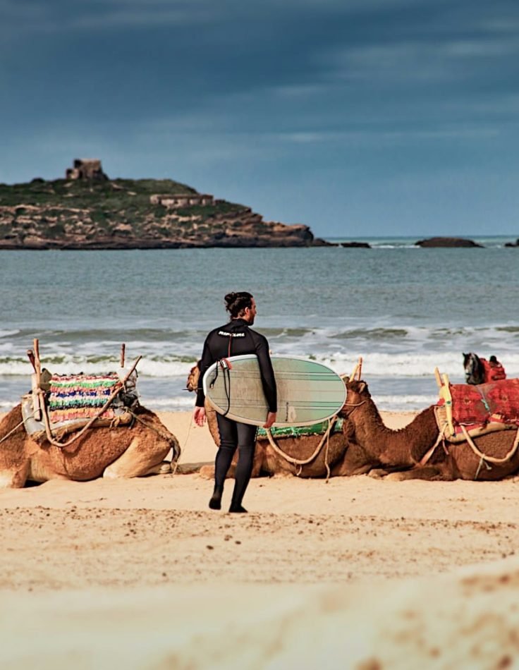 man in blue shirt riding brown camel on beach during daytime