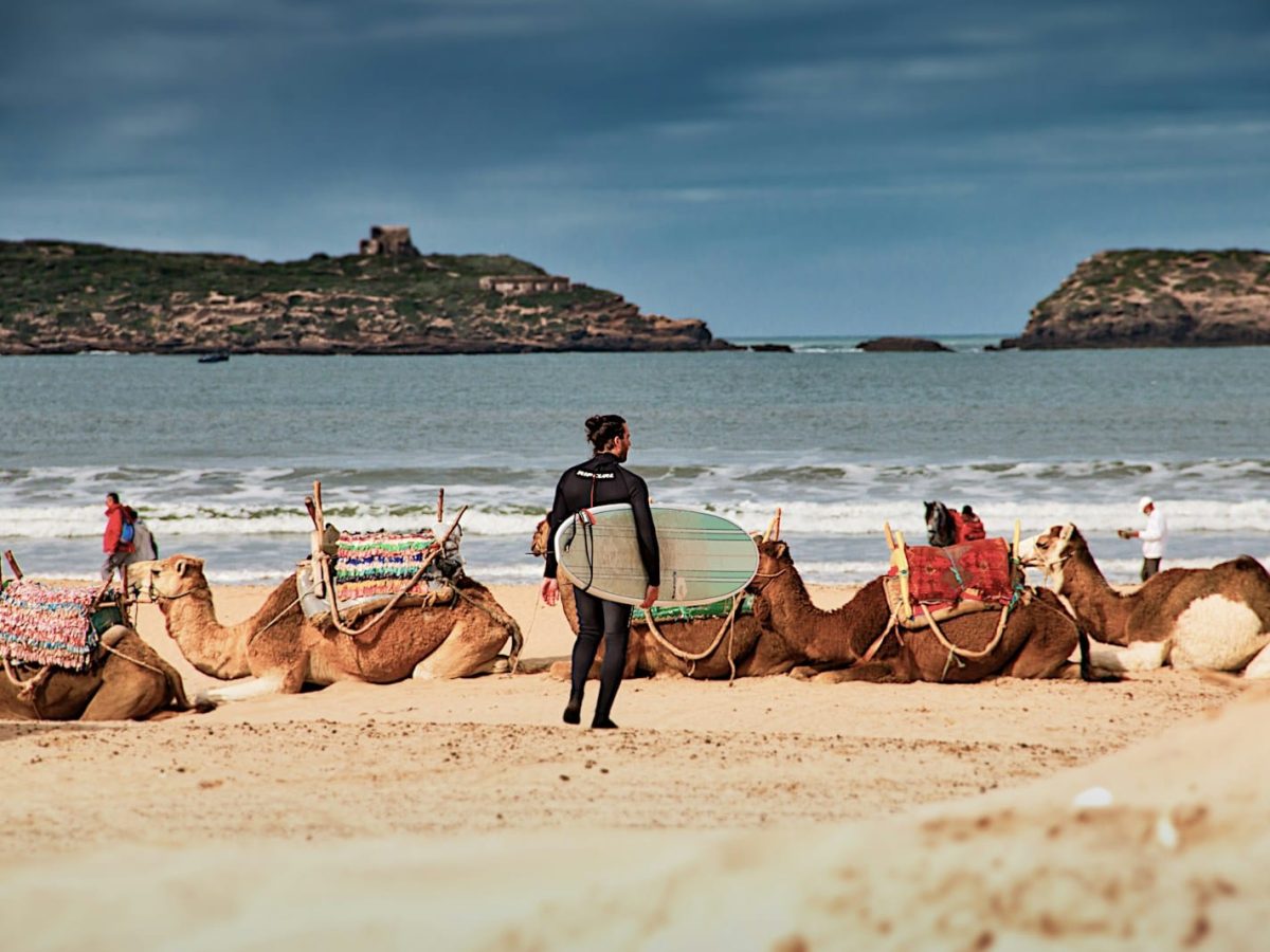 man in blue shirt riding brown camel on beach during daytime