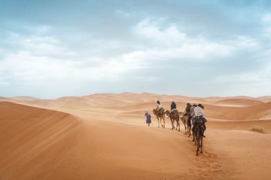 group of people riding on camels.family in sahara