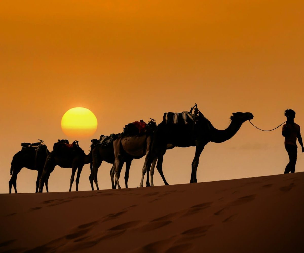 a person leading a group of camels on a sandy beach,3 days marrakech to fes