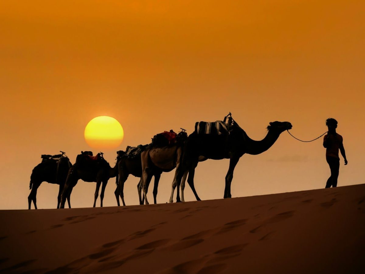 a person leading a group of camels on a sandy beach,3 days desert tour Marrakech to Fes