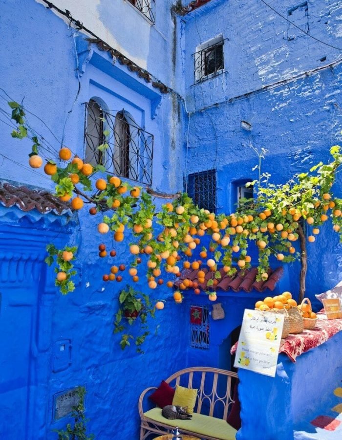 A blue alleyway with oranges hanging from it