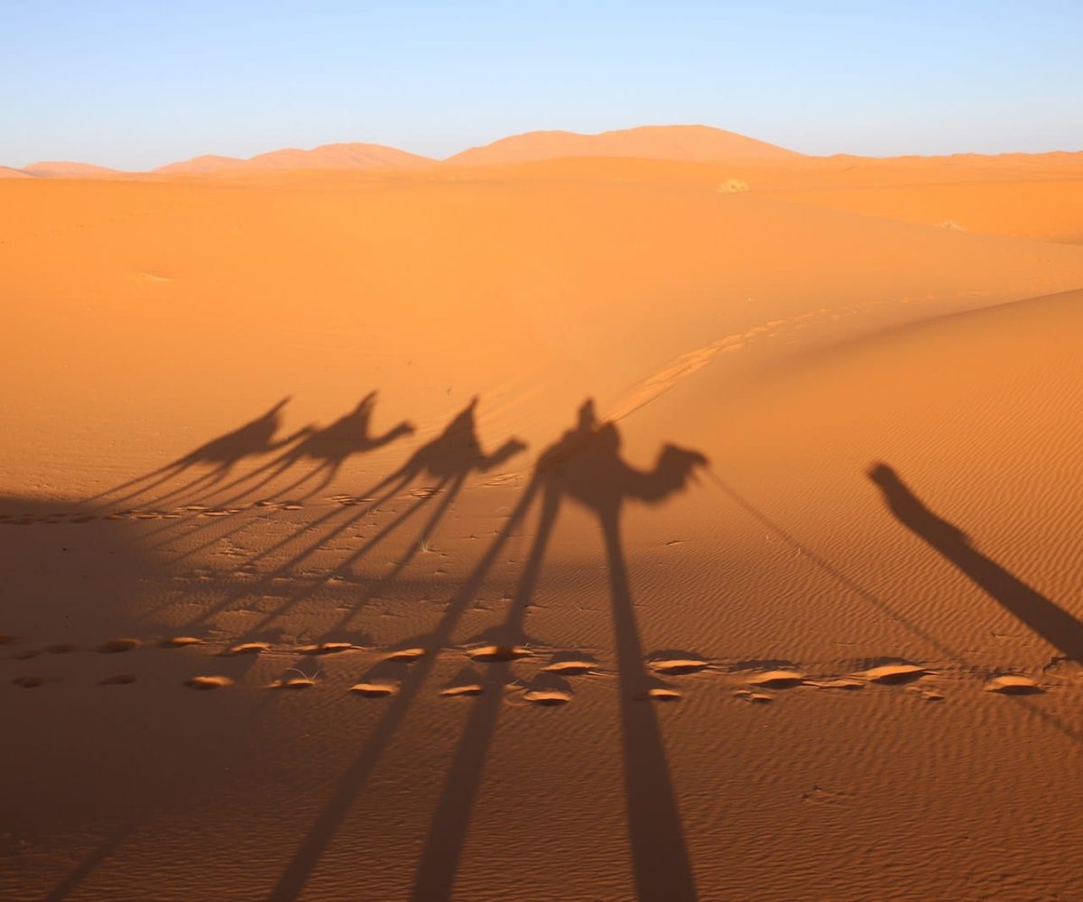 a group of people riding camels across a desert,4 days tour from marrakech to fes