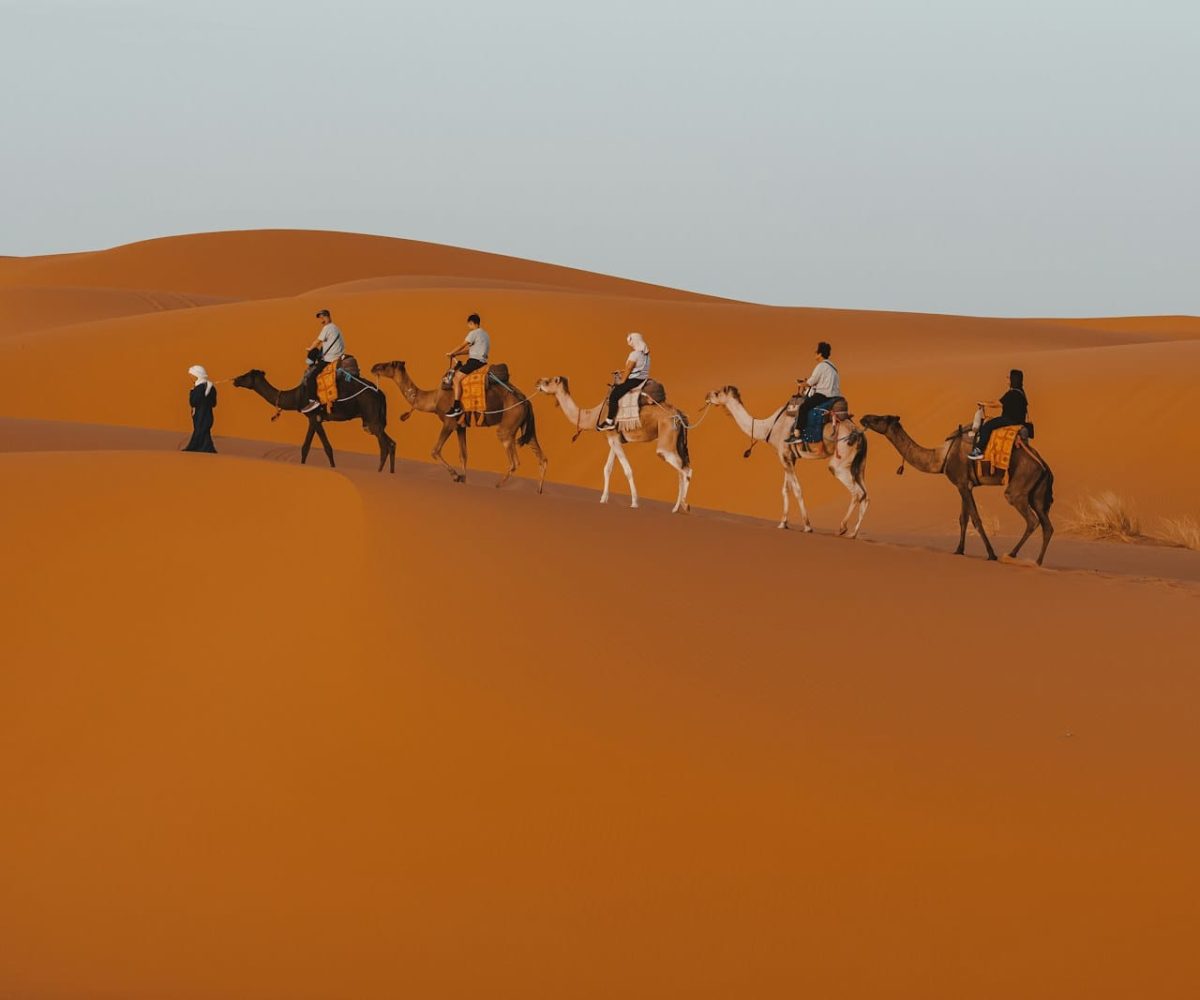a group of people riding camels across a desert,errachidia to merzouga