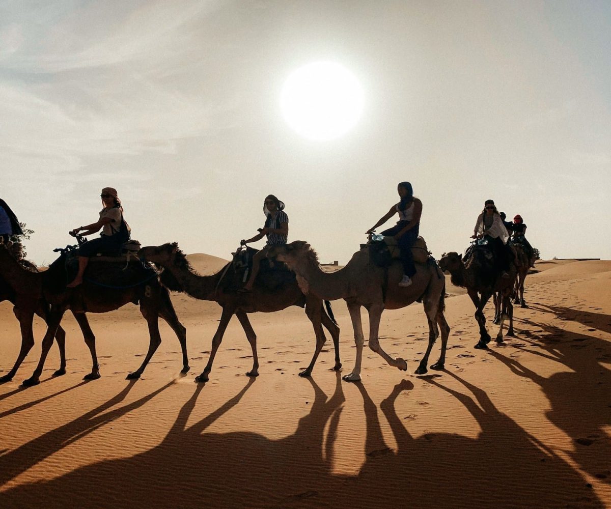 people riding camel on desert during daytime,errachidia to merzouga
